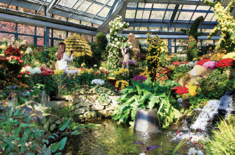 가평 가볼만한곳