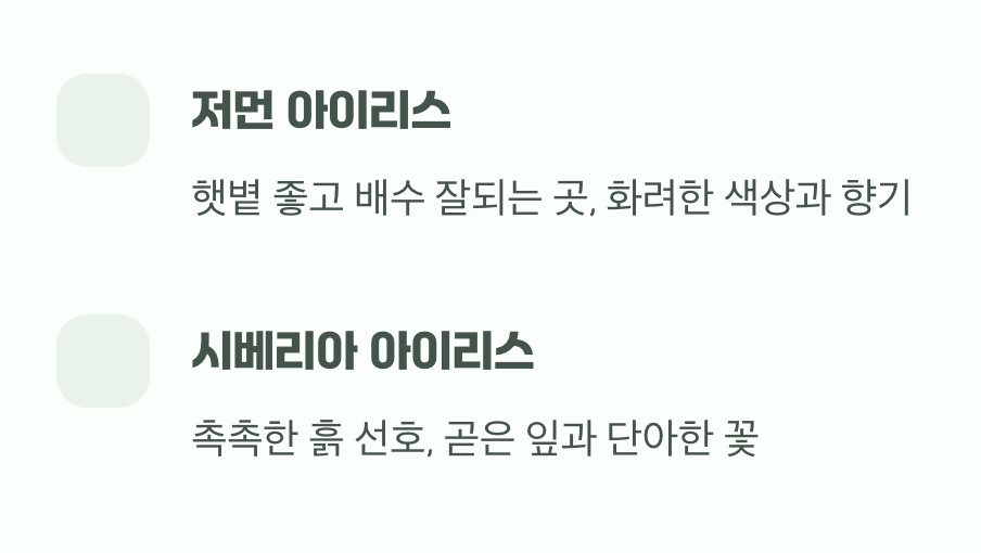 화려한 주인공의 등장&amp;#44; 5월의 향연