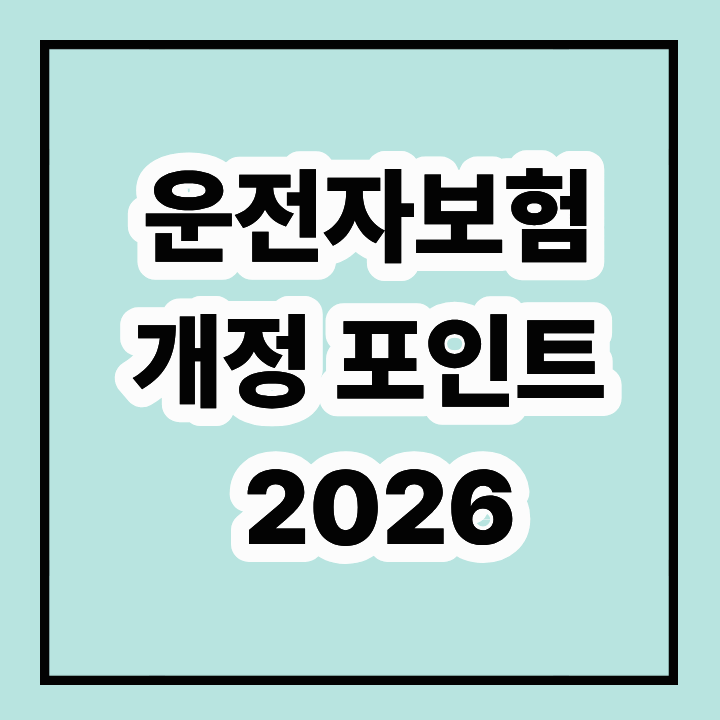 운전자보험 개정 포인트 2026