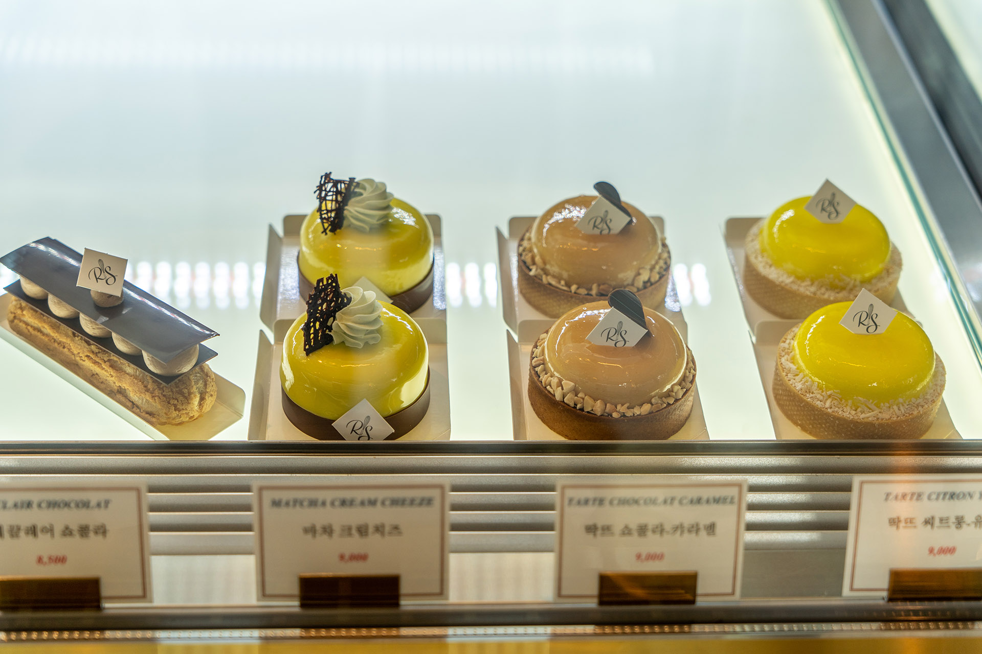 레브슈크레 쇼케이스