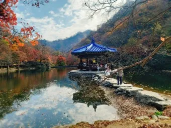 내장산 단풍터널 드라이브 코스 주차장 위치까지 총정리_9