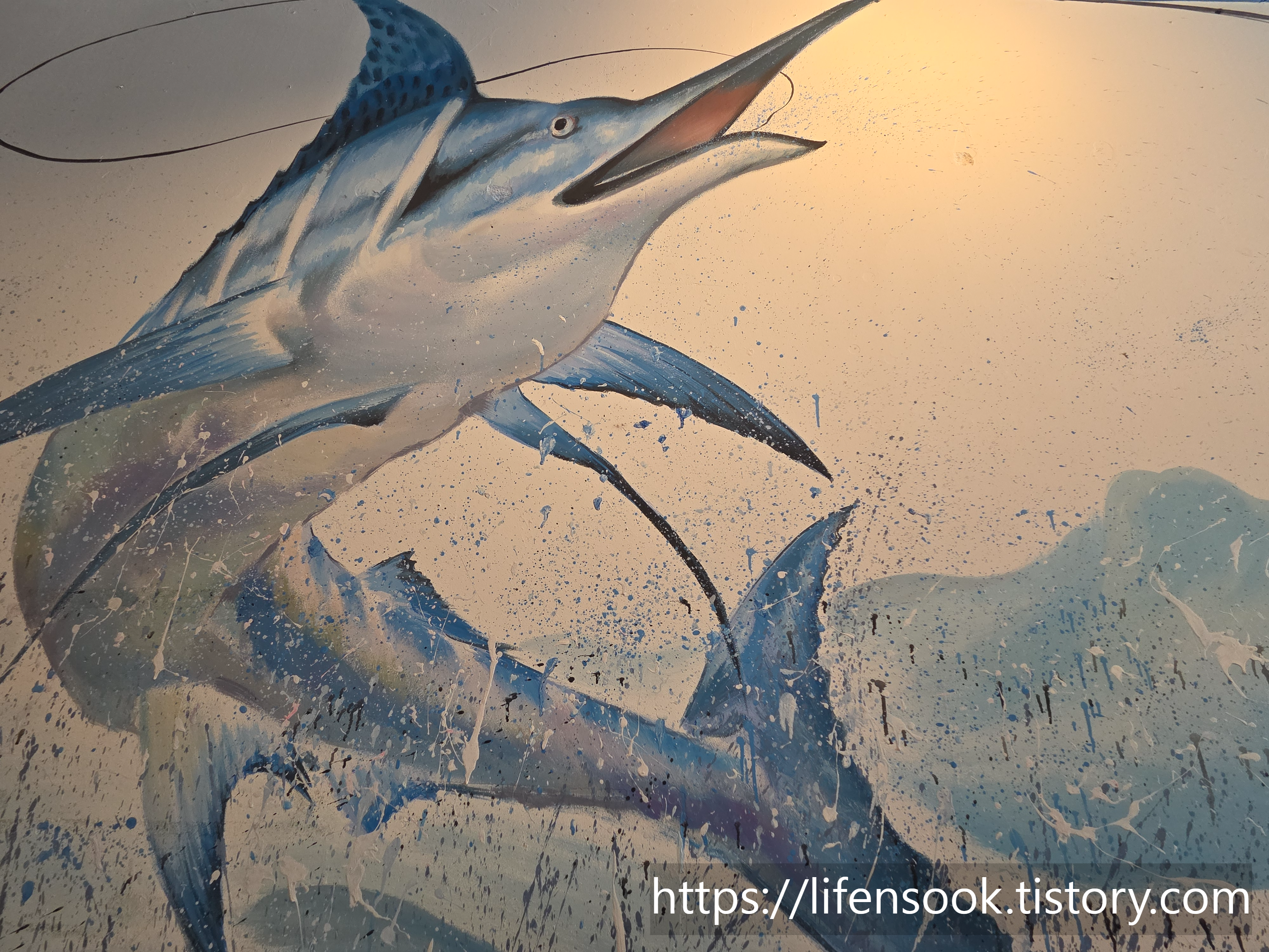 이강인참치 내부 1