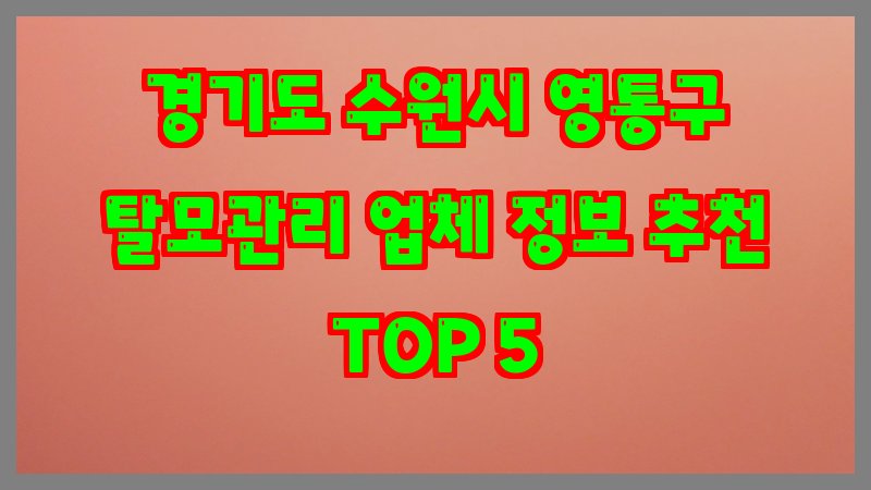 경기도 수원시 영통구 탈모관리