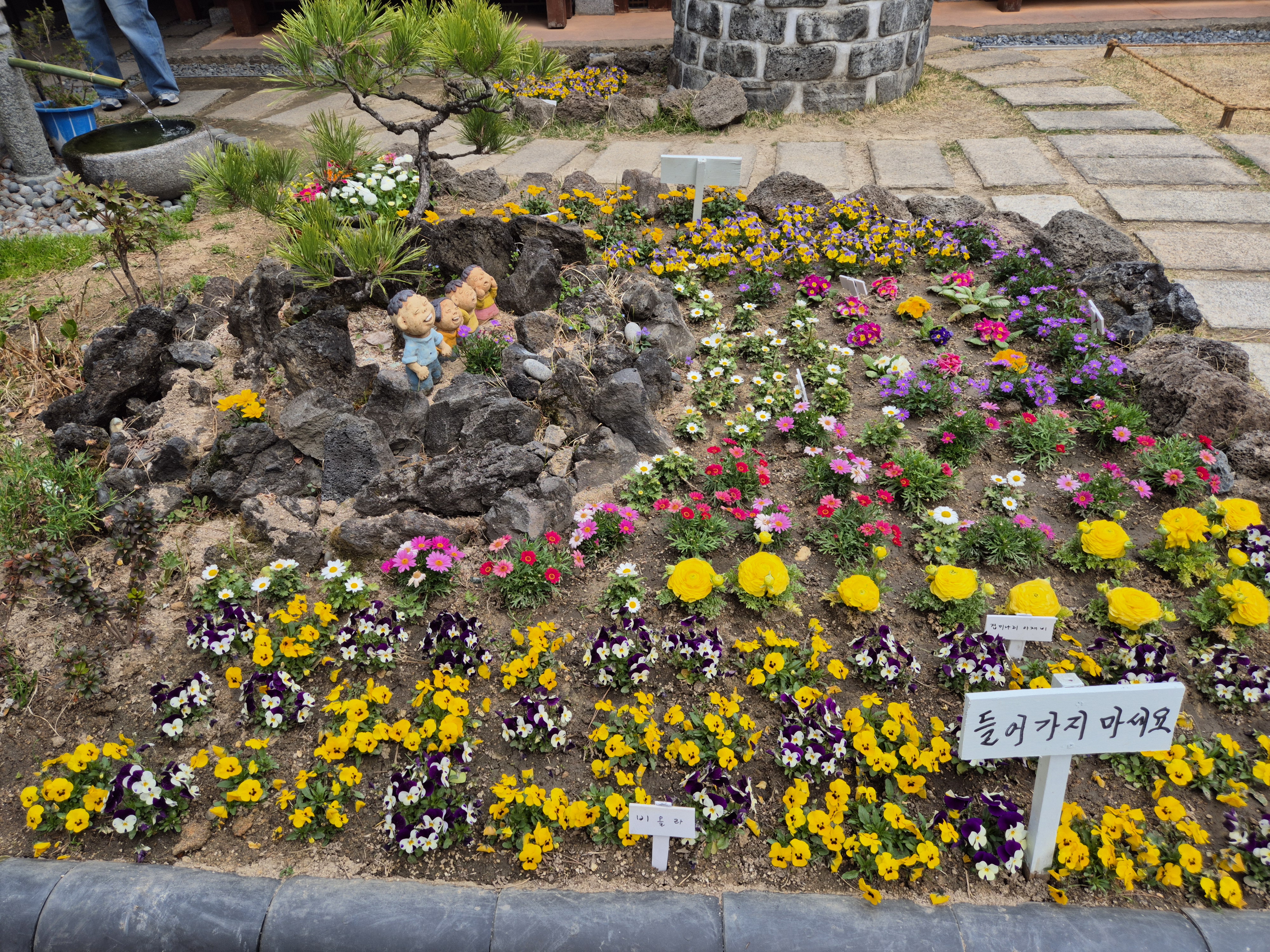 다양한 색의 꽃들이 만발합니다.