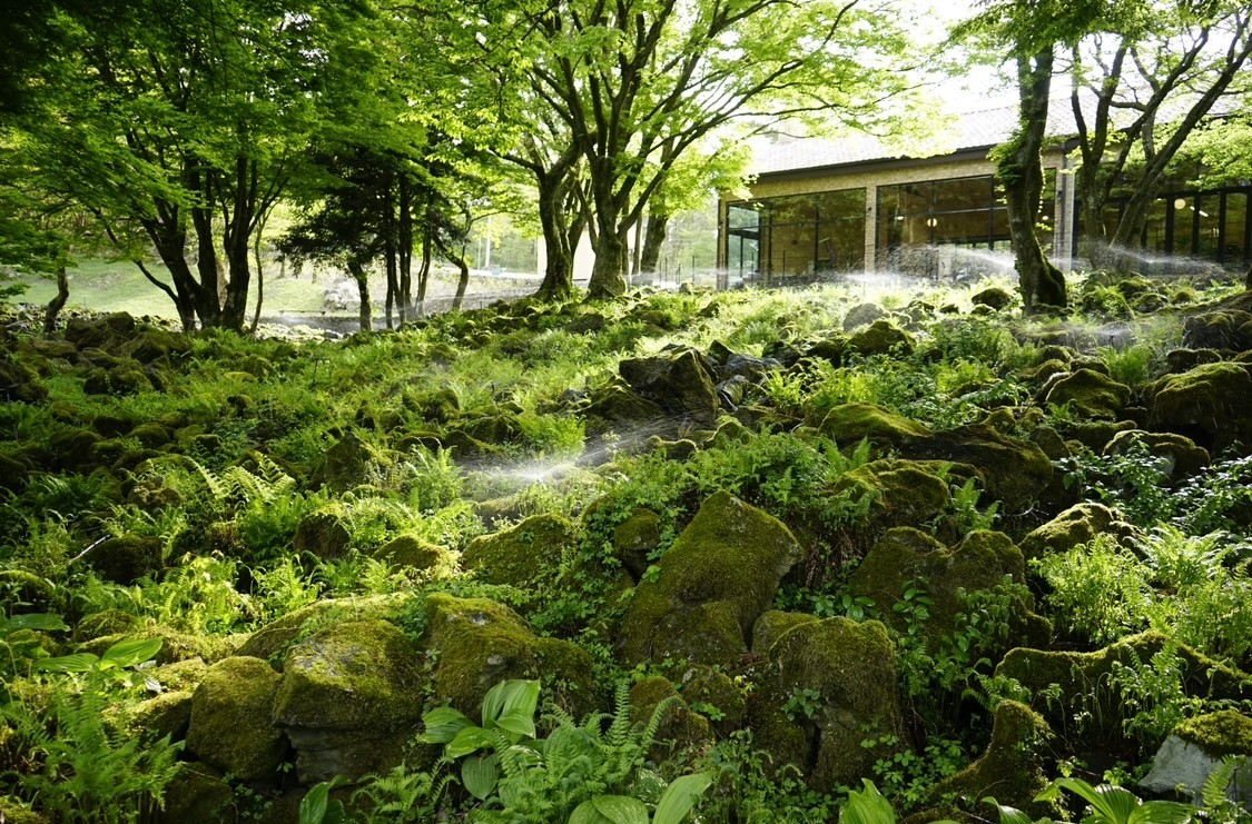 카페 전경 사진