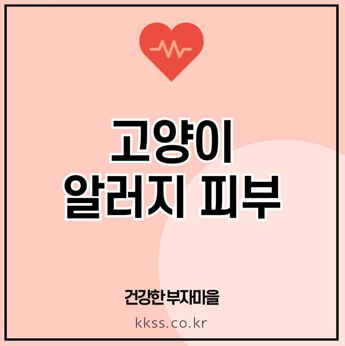 고양이 알러지 피부
