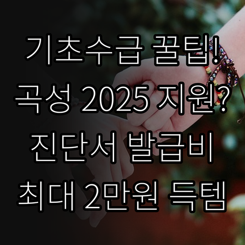 기초수급자 2025 곡성군 진단서 발..