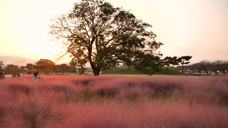 포천 국립수목원