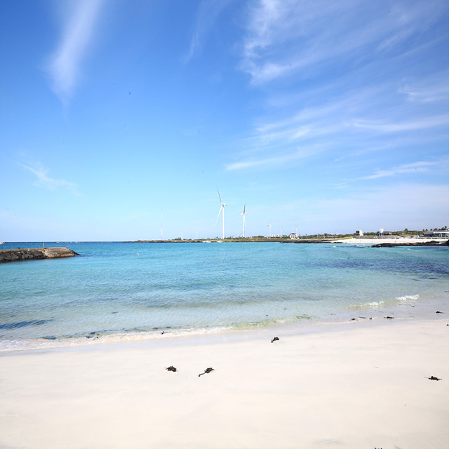 핑계고 아라찐빵 예약