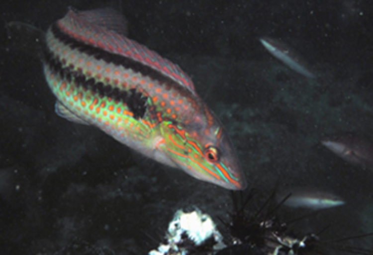 울진 아쿠아리움