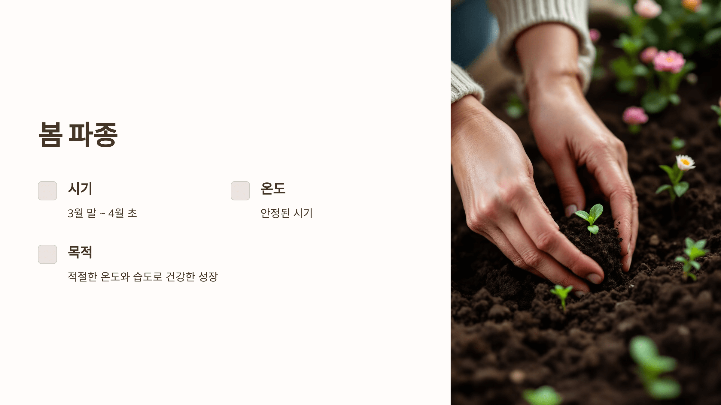 도라지 사진입니다.