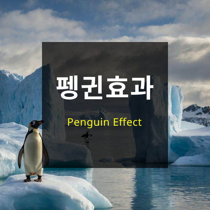 펭귄효과