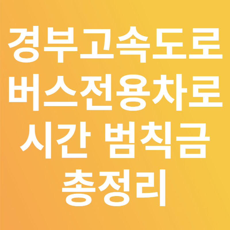 경부고속도로 버스전용차로 시간 범칙금 총정리