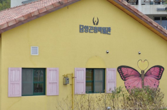 아이들과 아이랑 함께 담양 가볼만한곳 베스트10 곤충박물관