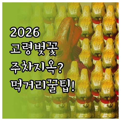 2026년 고령 벚꽃 축제 먹거리와 ..