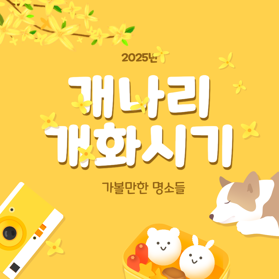 2025 개나리 개화시기와 명소