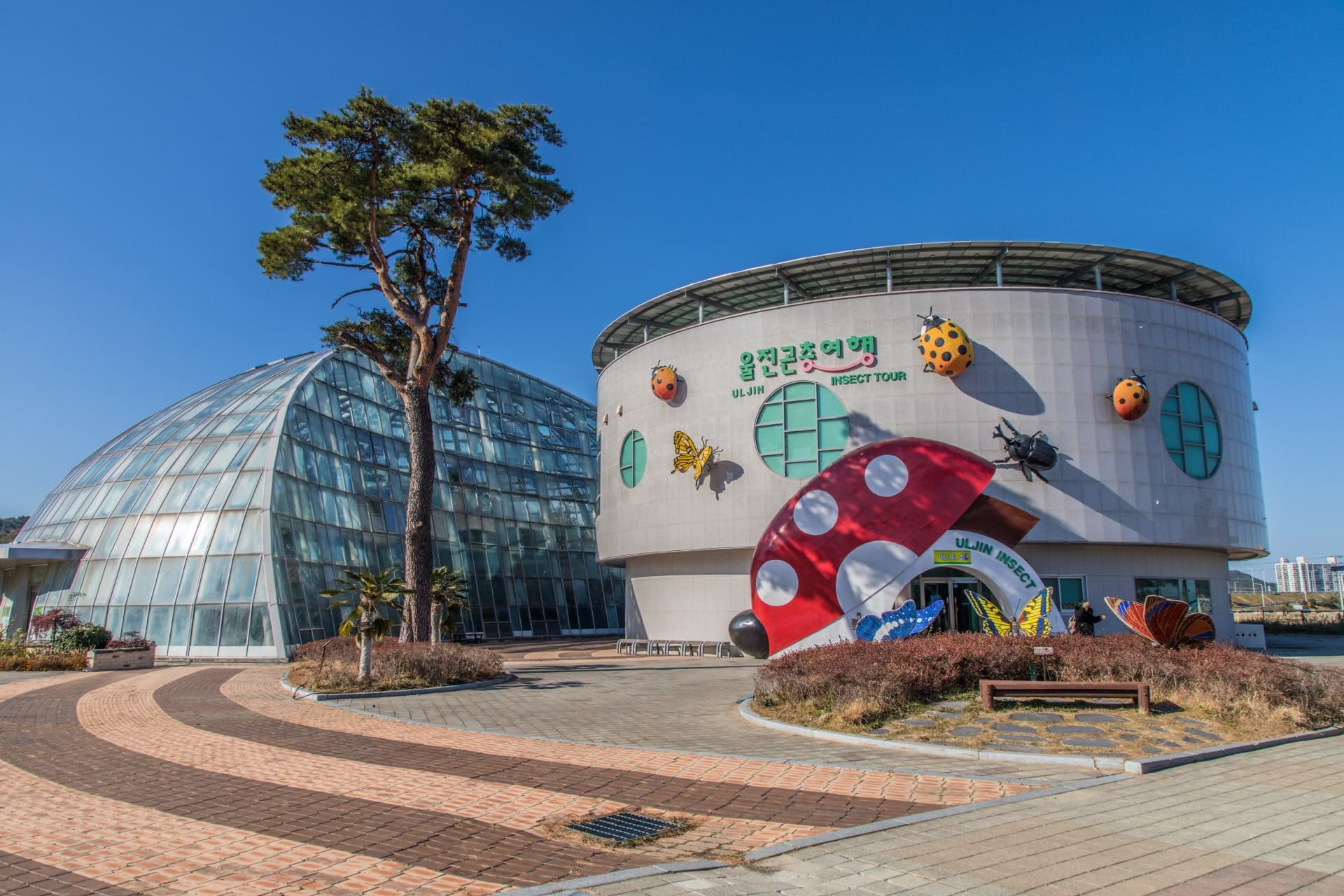 울진왕피천공원