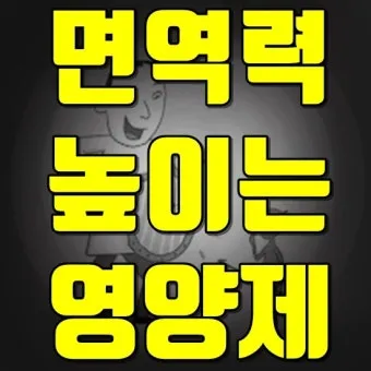 면역력 높이는 하루 루틴과 시간대별 건강 습관_9