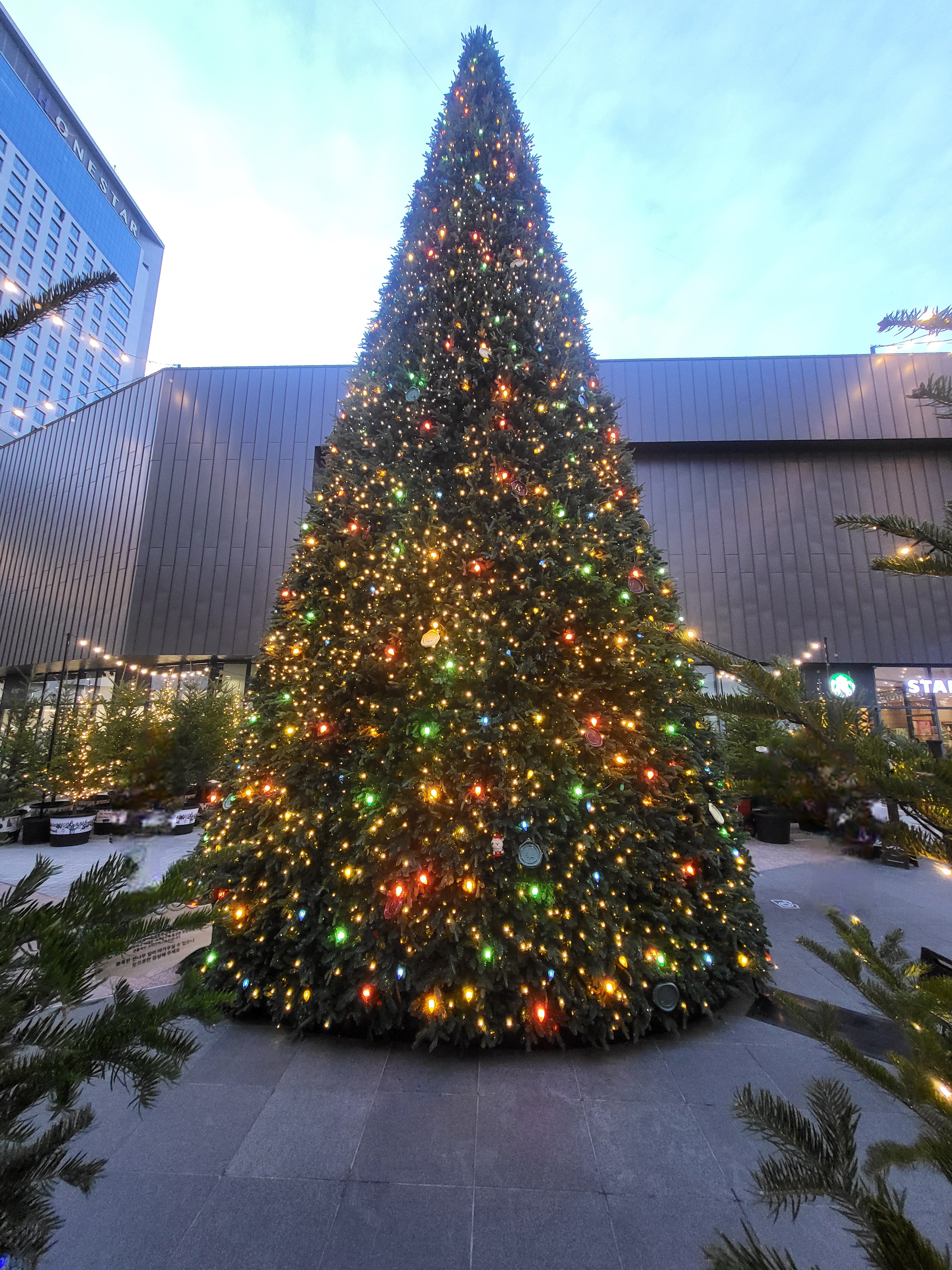 이 사진은 송도 현대아울렛에 방문하여 찍은 대형 크리스마스 트리입니다.