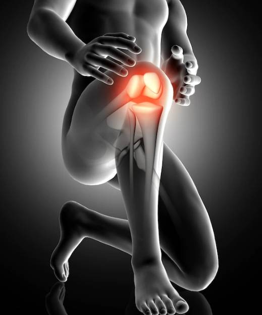 무릎의 구조에 대해서 설명해주는 사진