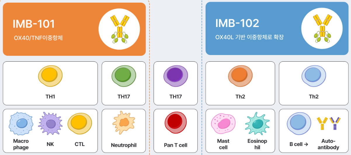 파이프라인 이중항체 IMB-101, IMB-102
