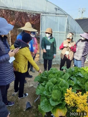 농업 교육 수강 농업기술센터 온라인 강좌 자격증 실습 정보_3