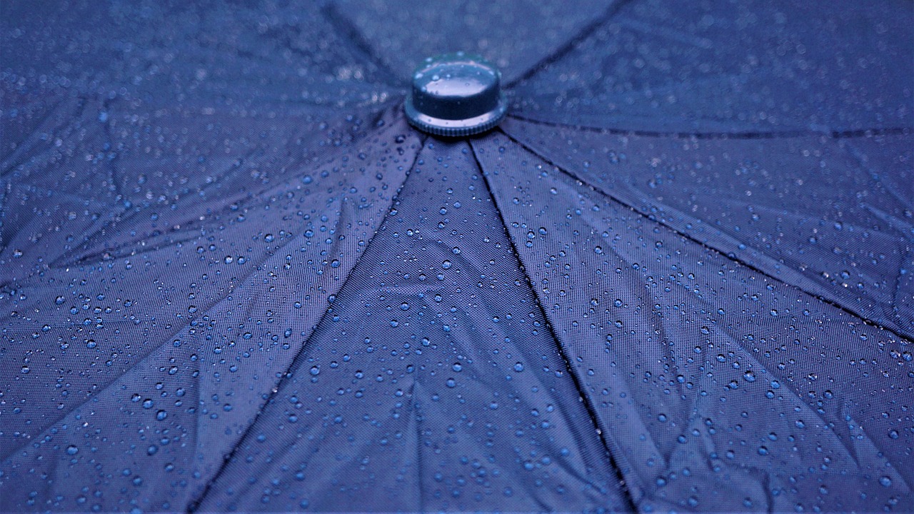 우산꿈