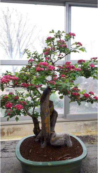 압해도 분재공원 근처 선착장에서의 낚시 농어와 도다리 포인트 소개 완벽 낚시터_22