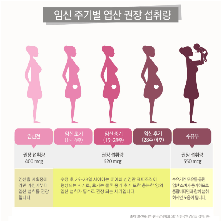 주차별 권장 섭취량