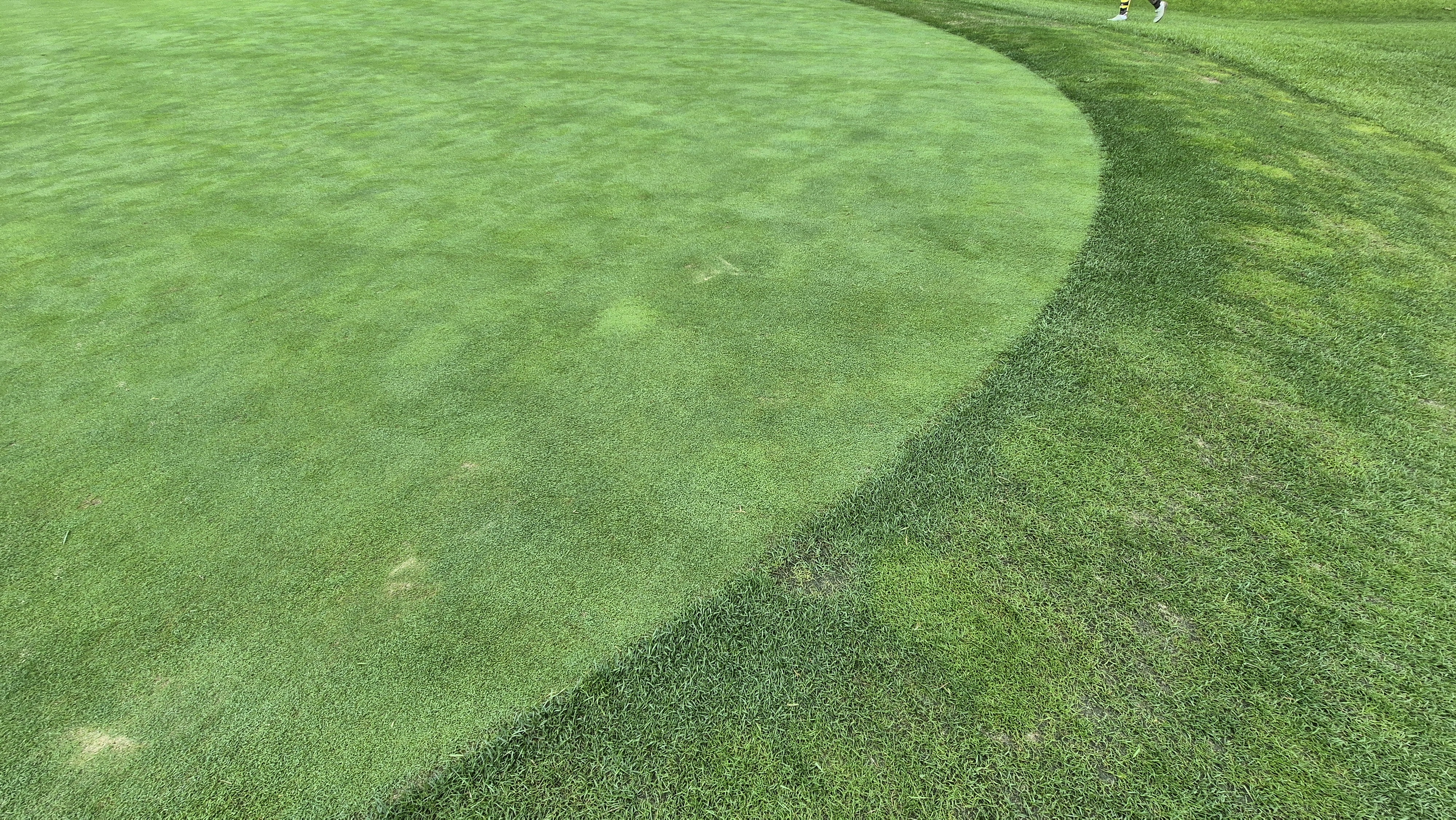 골프존카운티 진천