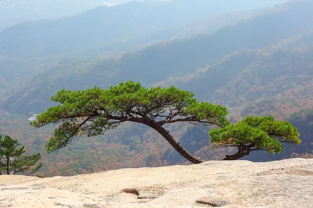 한산도 배시간표 배편 요금 예약 _4