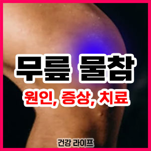 무릎 물참