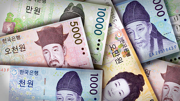 사진-한국돈