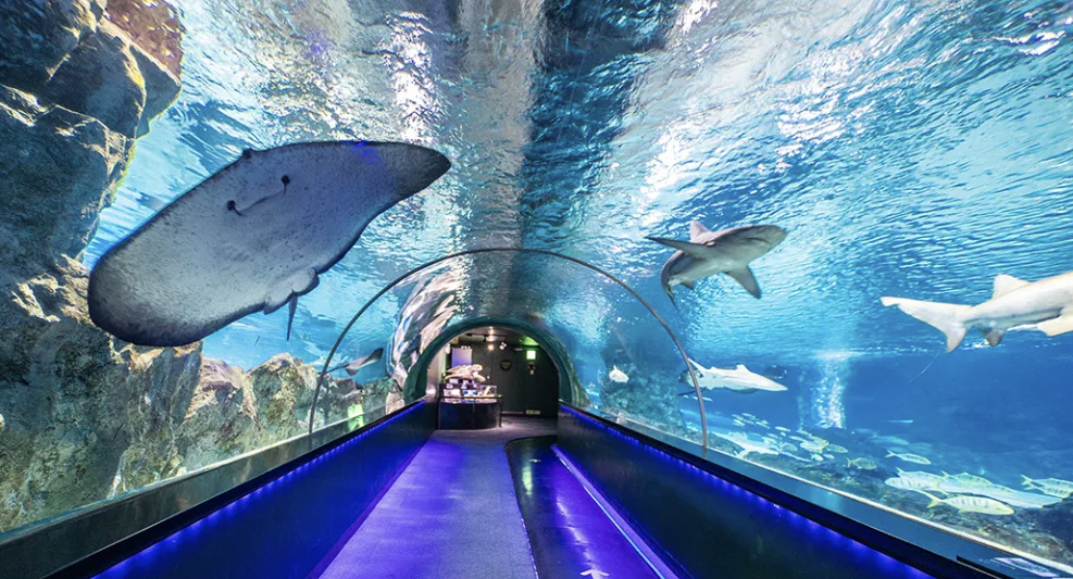 코엑스 아쿠아리움 이미지