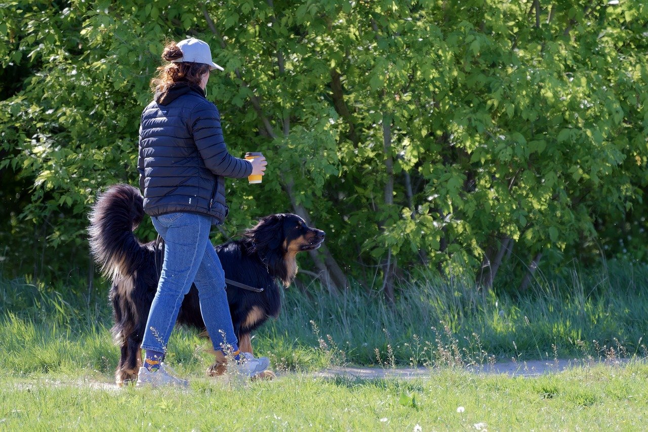 걷기_산책하는_여자