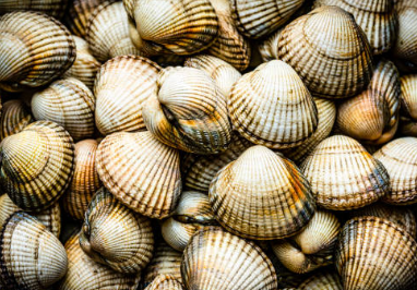 꼬막 삶는법, 꼬막 무침