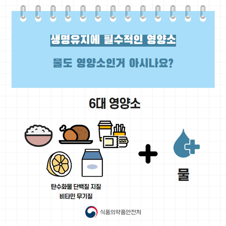 [진짜 수분 보충은 ‘물’]입니다. &quot;5년 새 음료 섭취량 20%&quot;↑…