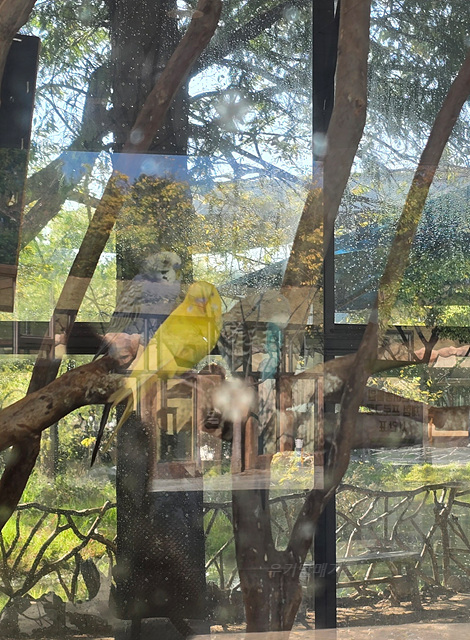 순천만국가정원 어린이 동물원 서문 순천여행 24년 11월 사진