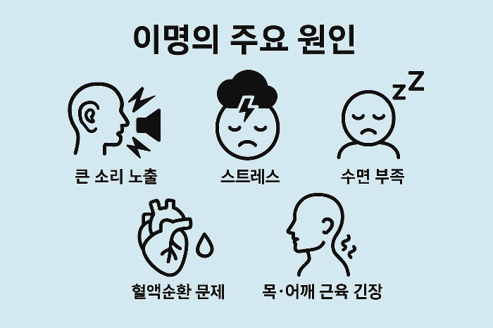 이명의 주요 원인 5가지