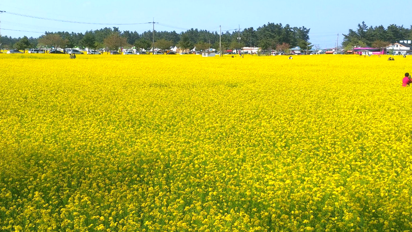 삼척가볼만한곳