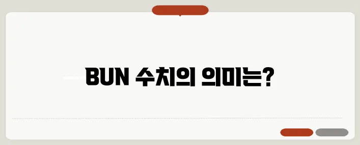 BUN 수치가 높으면 신장 질환 신호일까