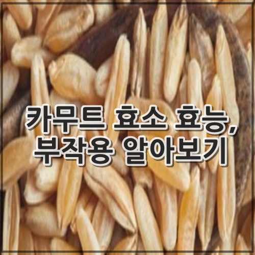 카무트 효소 효능 10가지, 부작용 알아보기