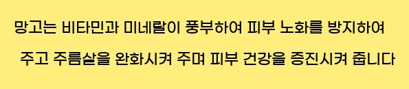  망고는 비타민과 미네랄이 풍부하여 피부 노화를 방지하여 주고 주름살을 완화시켜 주며 피부 건강을 증진시켜 줍니다