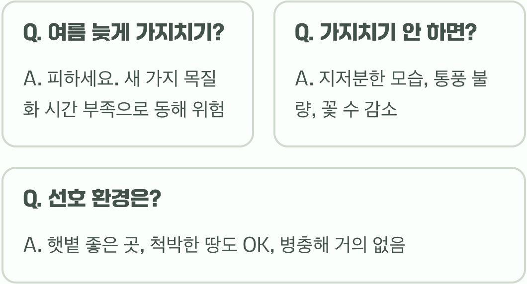병꽃나무 가지치기, 꽃 진 후가 황금 시기인 이유!