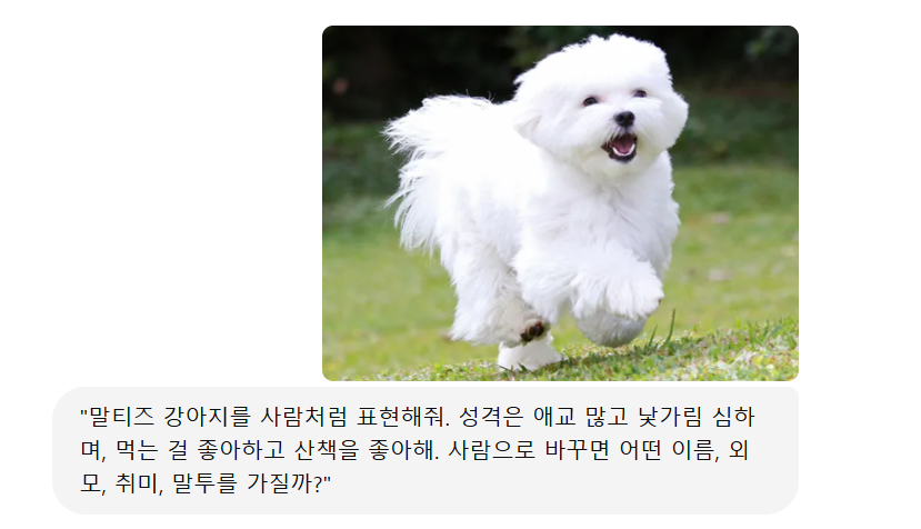 반려동물이 사람으로