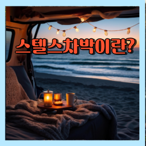 스텔스차박이란?