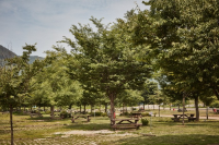 아이와 가평 가볼만한곳 추천 자라섬