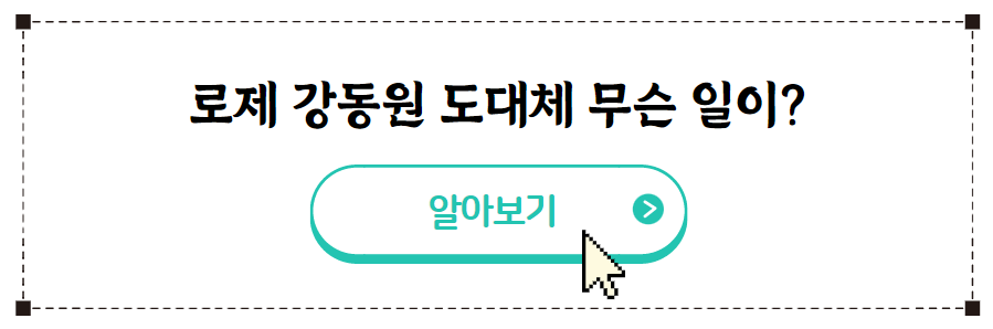 강동원 로제