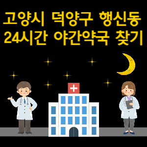 고양시 덕양구 행신동 24시간 야간 심야 당번약국 찾기