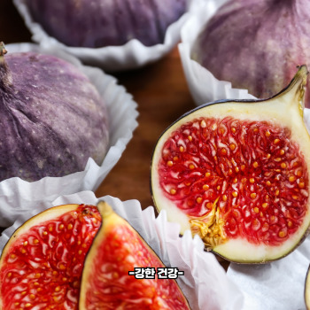 무화과 재배방법